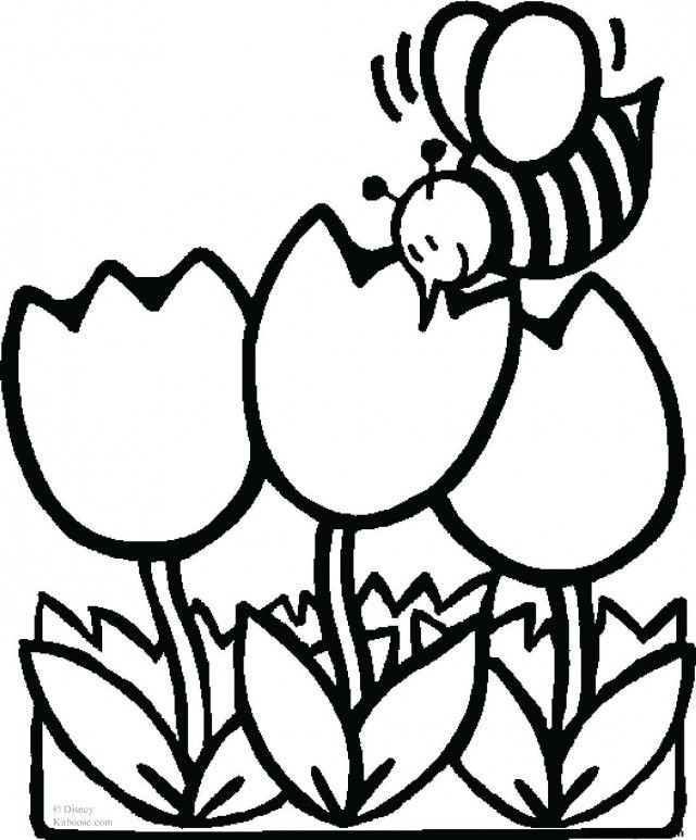 Zebra Print Coloring Pages Zebra Print Peace Sign Coloring Pages 