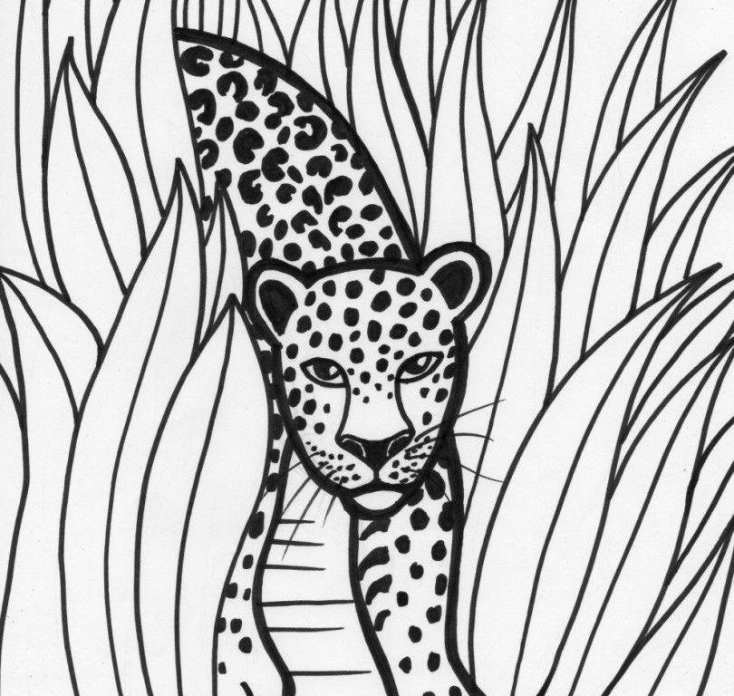 Kids Coloring Pages | Printable Coloring Pages for Kids