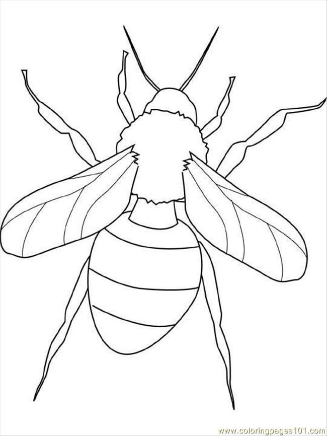 insect-coloring-pages-printable-26