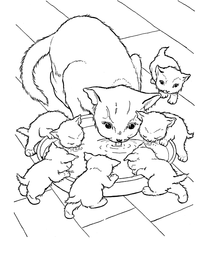 Kitten Coloring Pages | animalgals