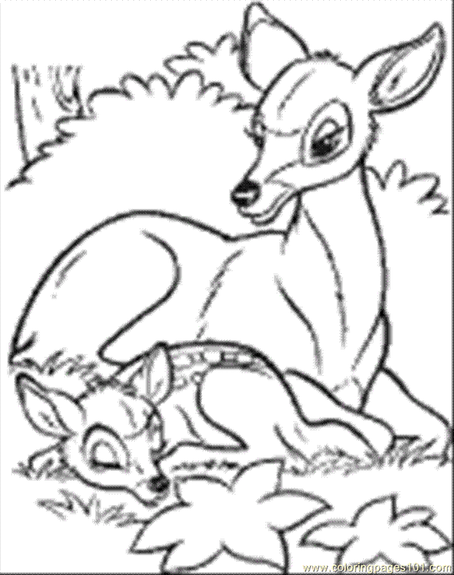 Coloring Pages Disney Bambi 34 (Cartoons > Bambi) - free printable 