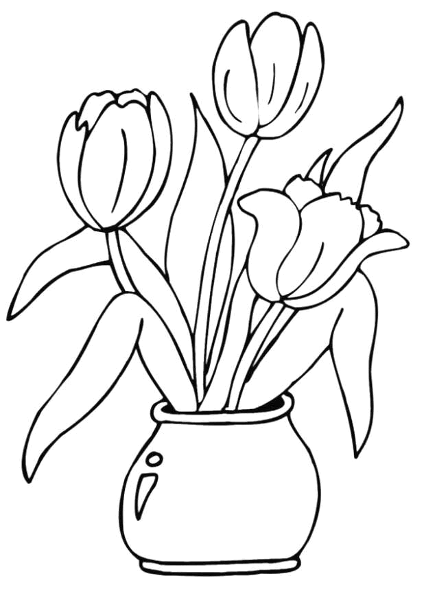 FLEUR Colouring Pages