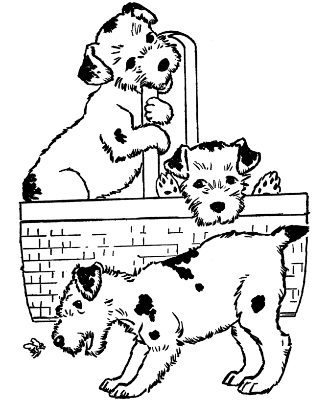 Dog Coloring Pages | Printable Puppies in a basket coloring page 