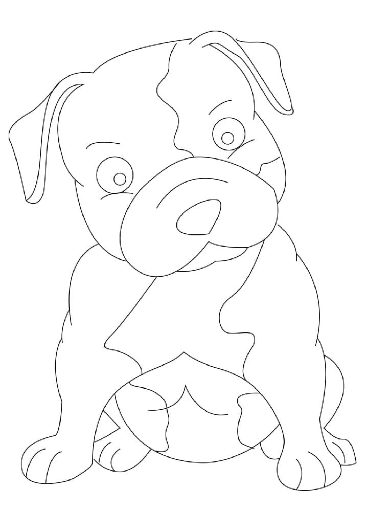 Baby Pitbull Dog Coloring Page - Free Printable Coloring Pages for Kids