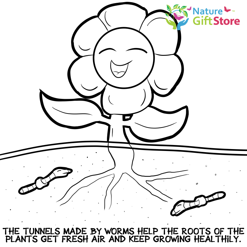 Printable Coloring Pages - Nature Gift Store