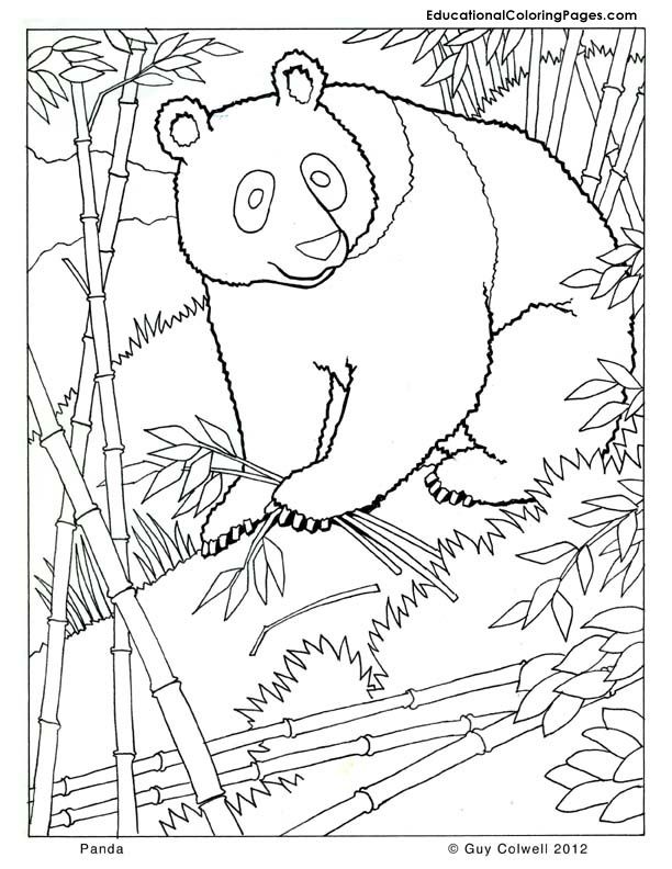 panda coloring, zoo animals coloring, cute, free printables ...