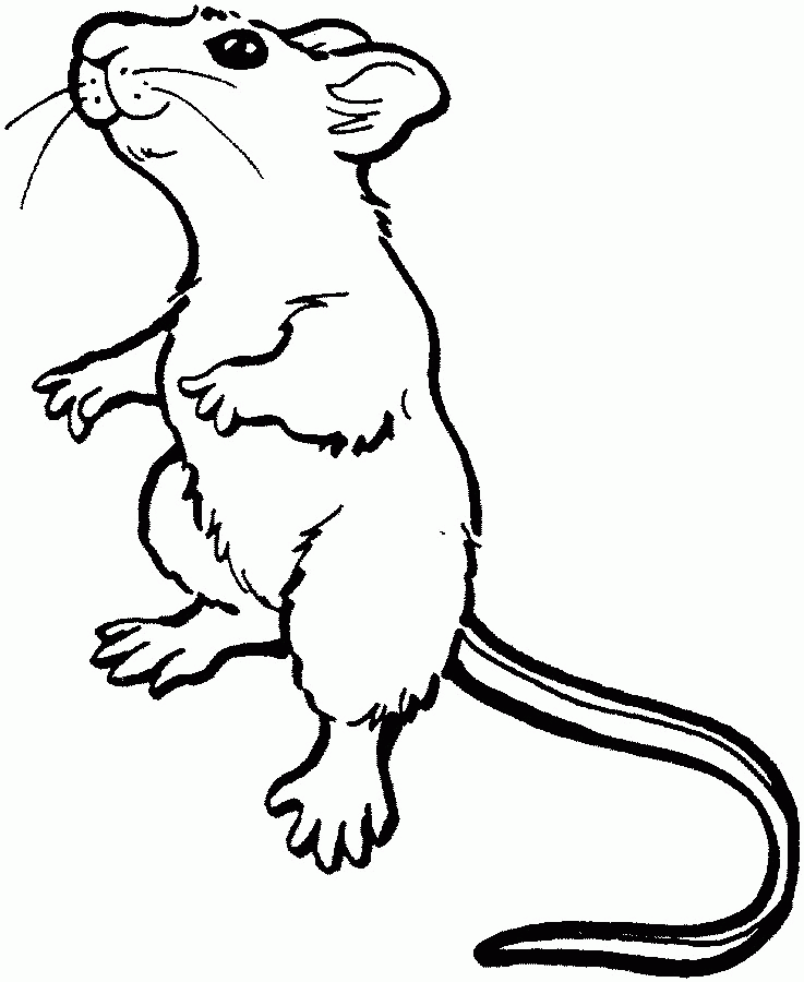 ▷ Mouse: Coloring Pages & Books - 100% FREE and printable!