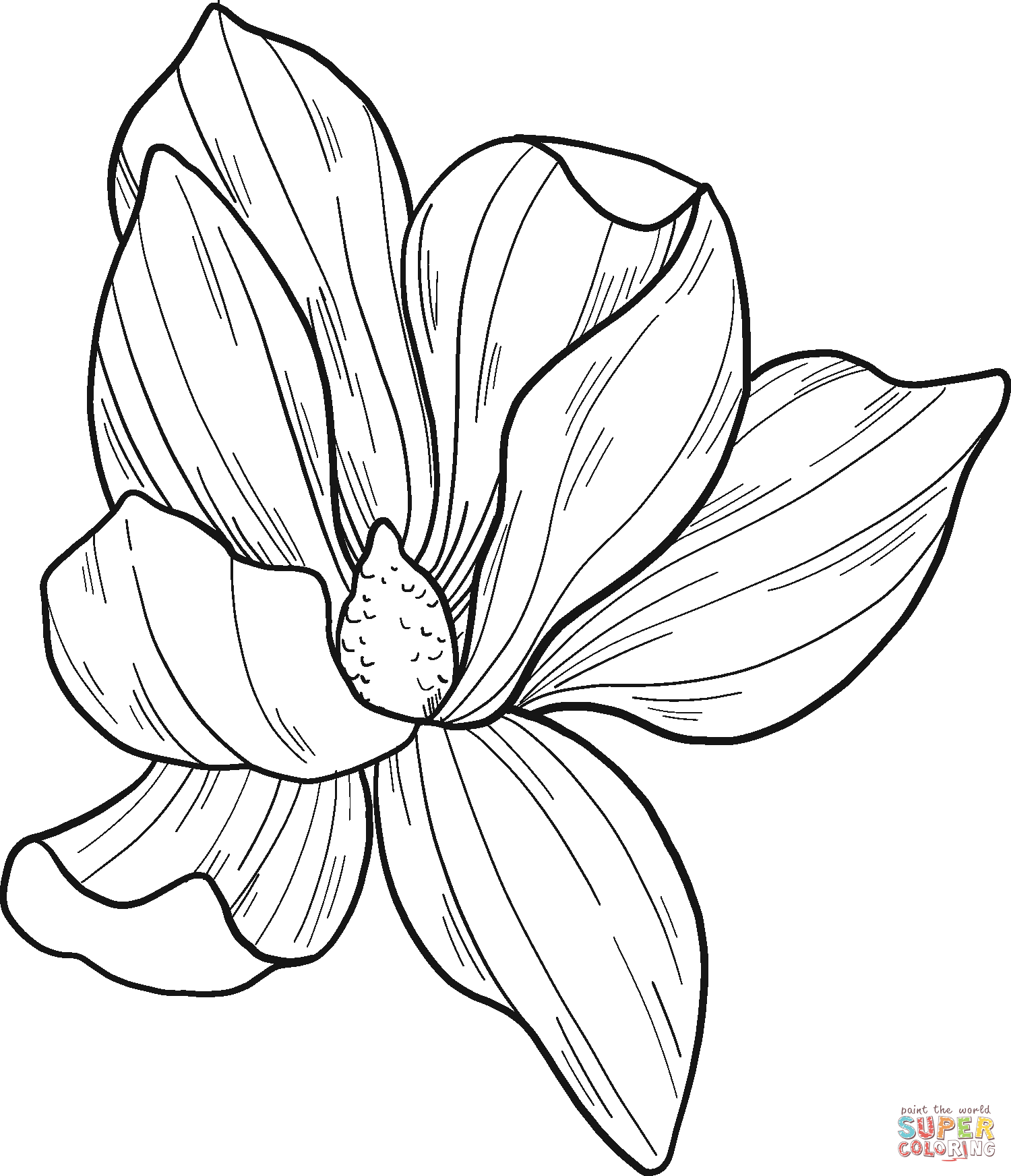 Magnolia Flower coloring page | Free Printable Coloring Pages