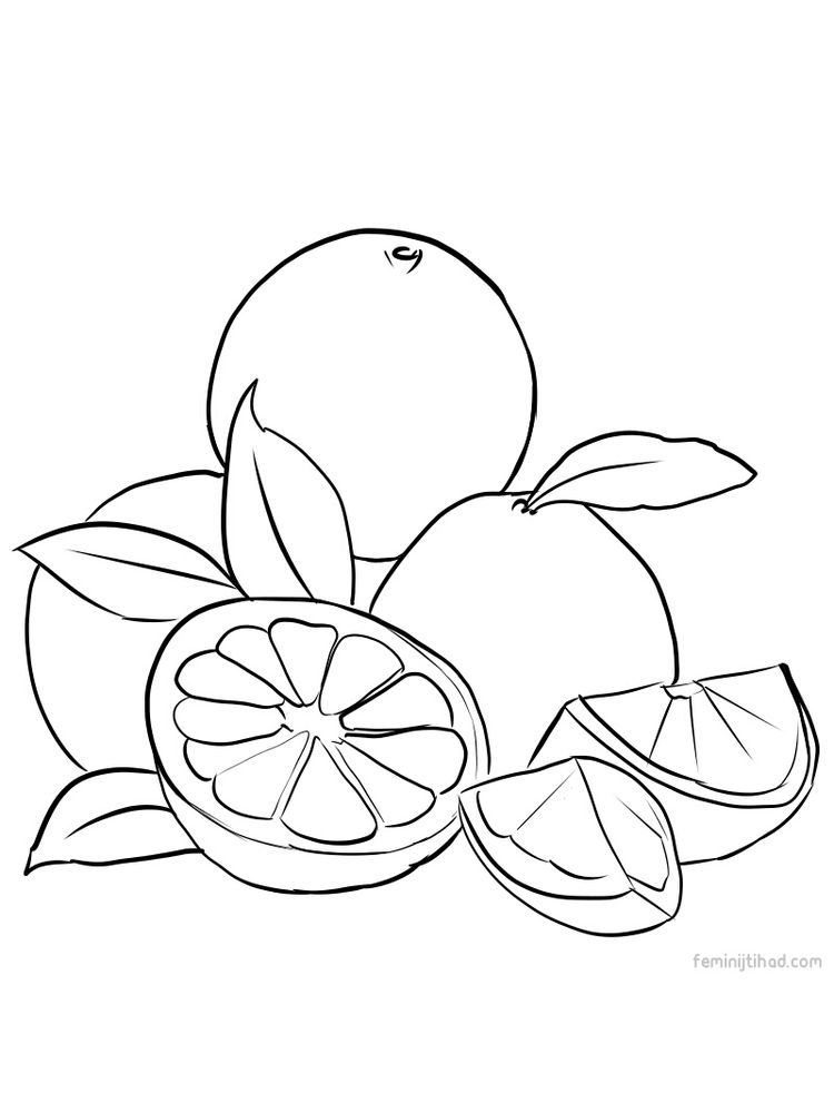 grapefruit coloring images free download | Fruit coloring pages, Coloring  pages, Free coloring pages