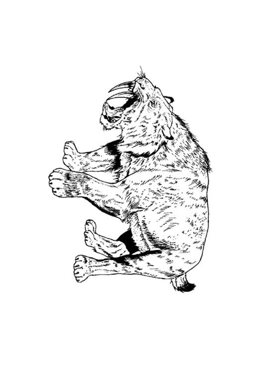 Coloring Page saber tooth tiger - free printable coloring pages - Img 9106