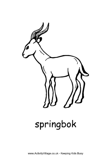 Springbok Colouring Page | Heritage day south africa, African art projects,  African symbols