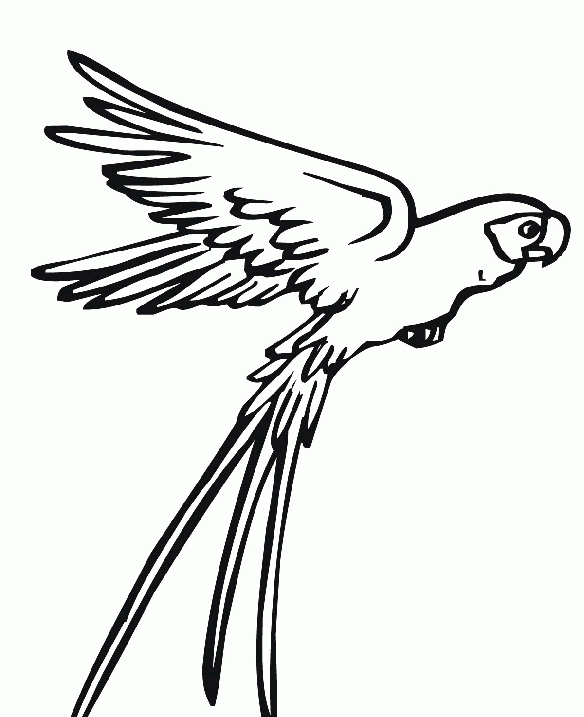 Flying Bird Silhouette Drawing, HD Png Download , Transparent Png Image -  PNGitem