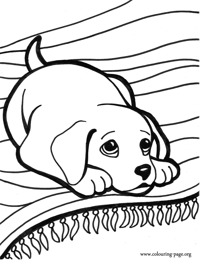 Puppies Coloring Pages Dog Coloring Pages Free Printable Dog Puppy ...