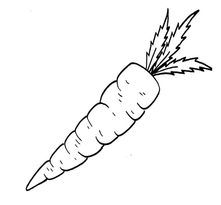 carrot coloring page - High Quality Coloring Pages