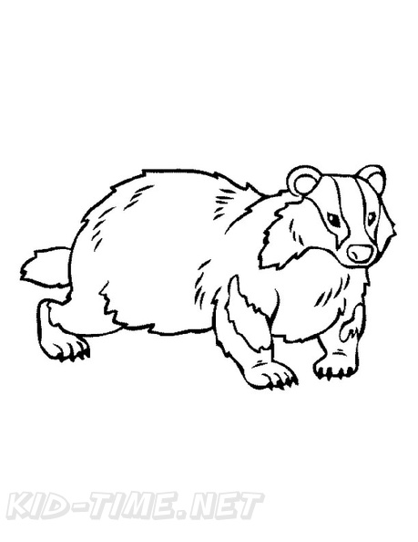 Badger Coloring Book Page | Free Coloring Book Pages Printables