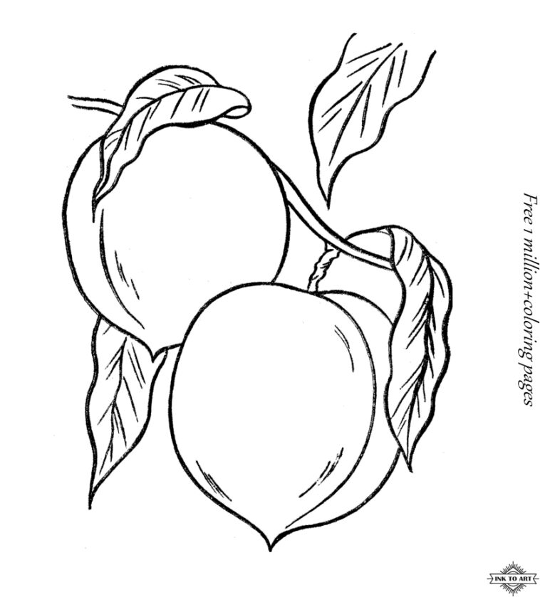 Peaches- Food Coloring Pages – inktoart | Ink to Art