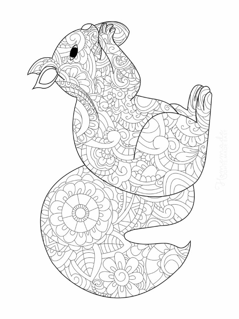 Fall Coloring Pages Patterned Squirrel With Acorn For Adults | PDF