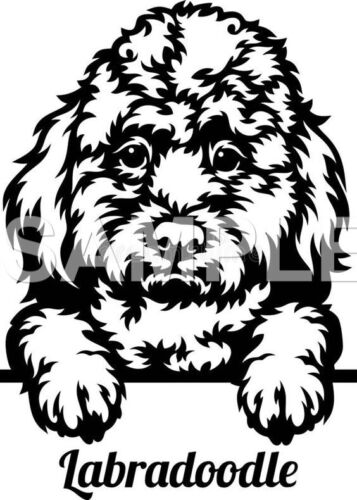 Labradoodle Vinyl Decal Car Truck Window Sticker (choice of 1 any color) |  eBay