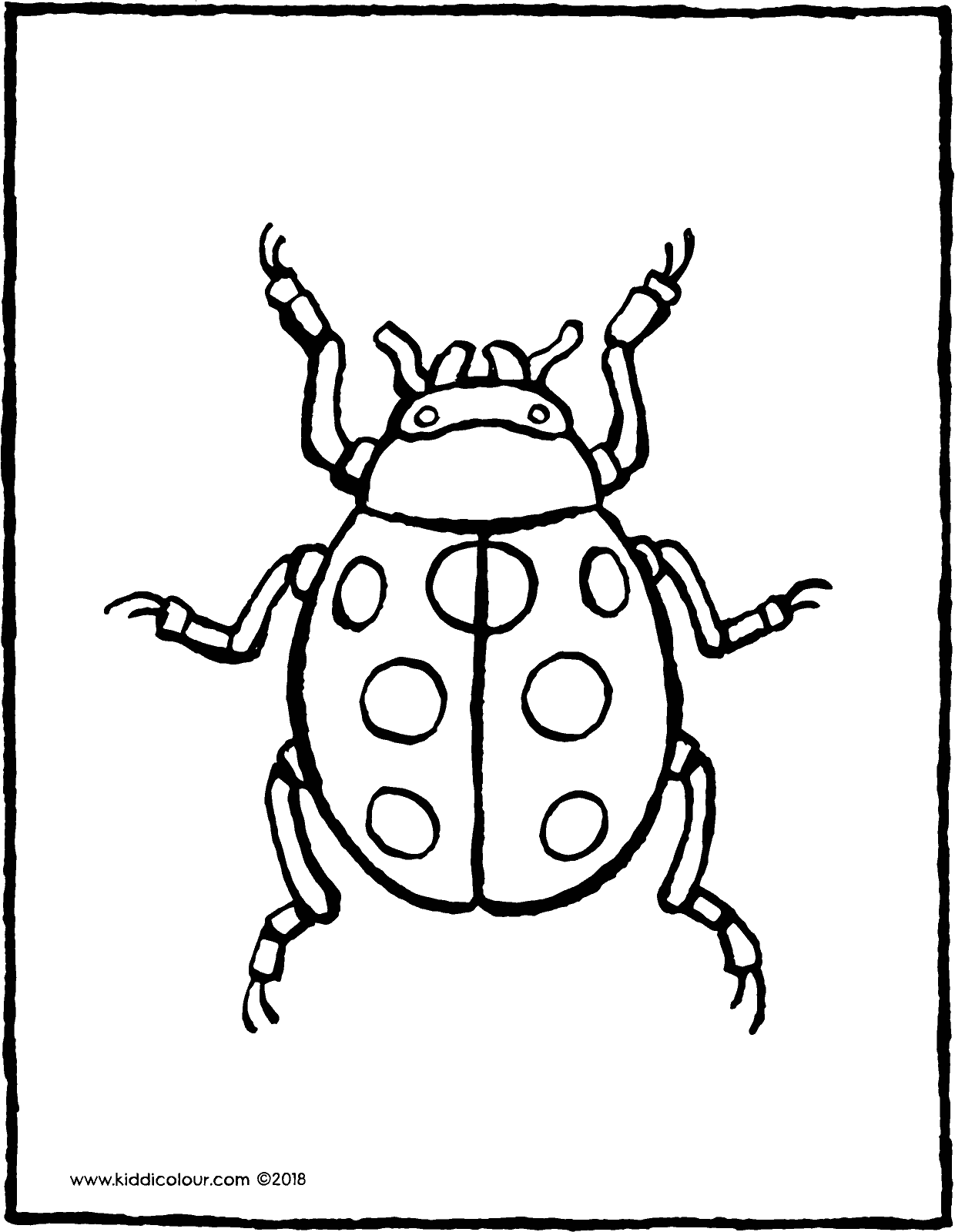 ladybird - kiddicolour
