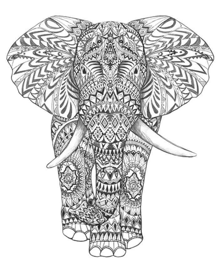 Mandala Coloring Pages Elephant | Elephant coloring page, Animal coloring  pages, Elephant drawing