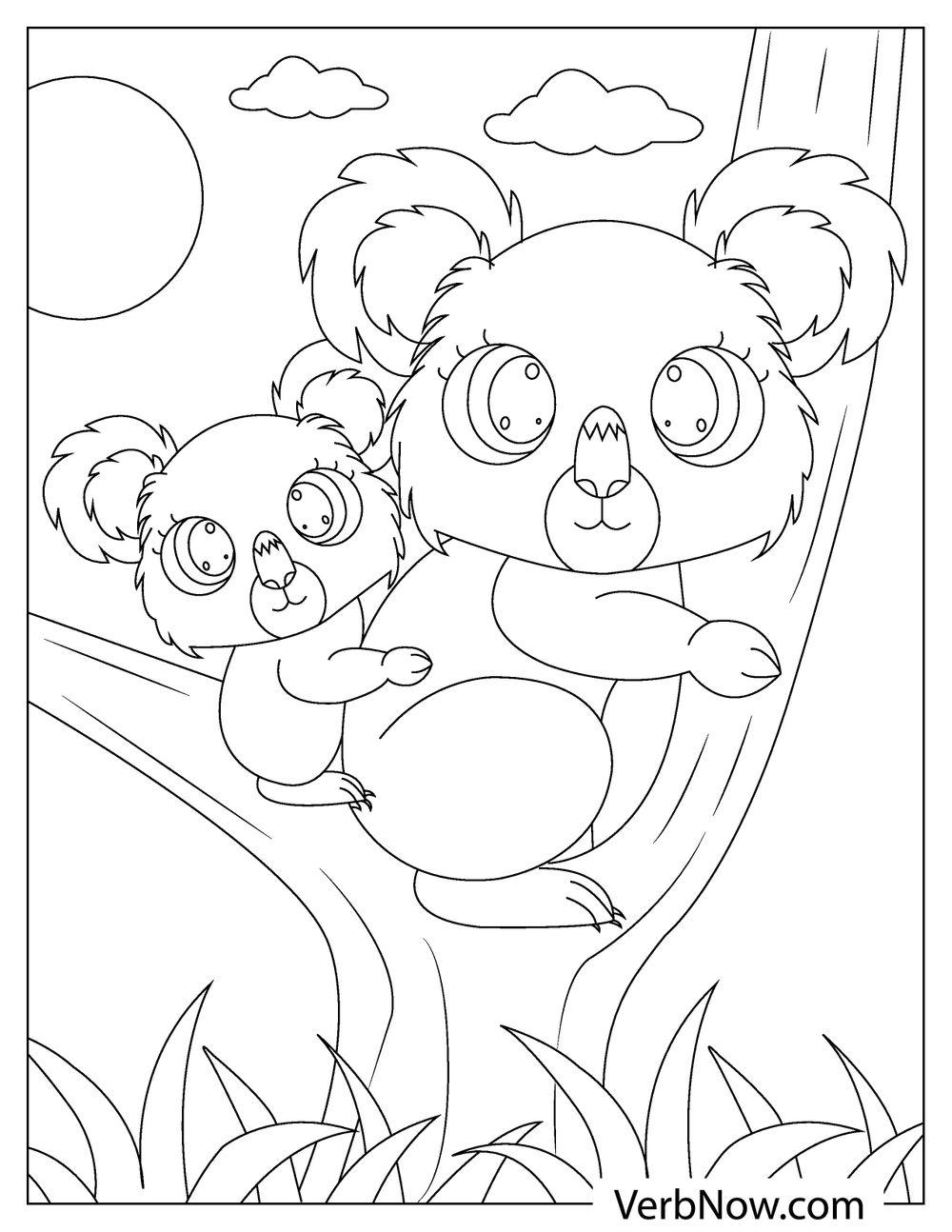 Free KOALA Coloring Pages & Book for Download (Printable PDF) - VerbNow