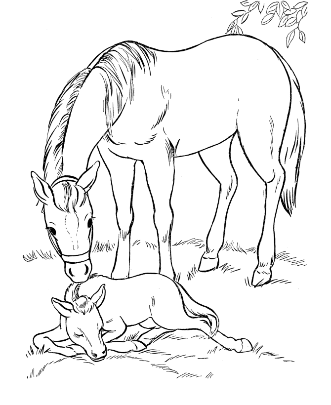 Horse Coloring Pages | Printable Mare and her sleeping foal ...