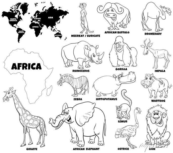 Educational illustration of african animals color book page posters for the  wall • posters map, atlas, graphic | myloview.com