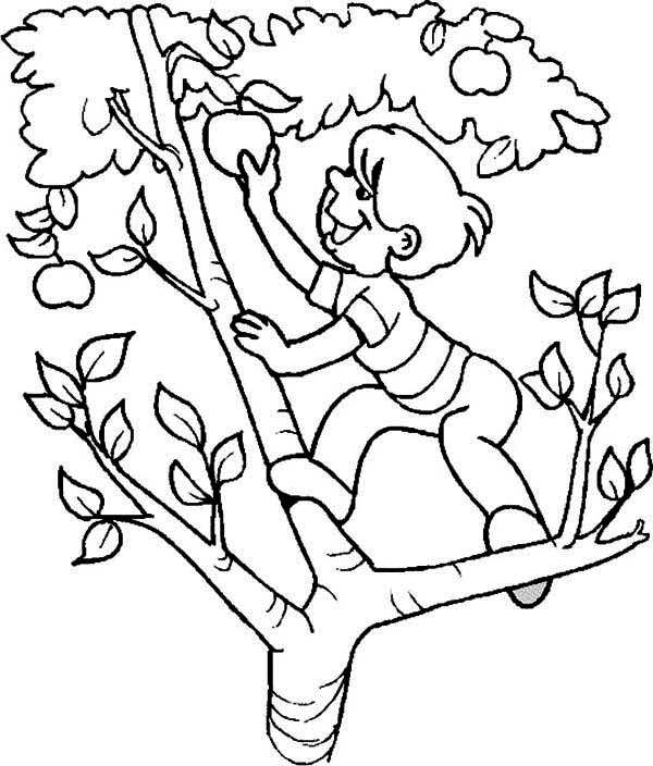 Drawing Apple tree #163793 (Nature) – Printable coloring pages