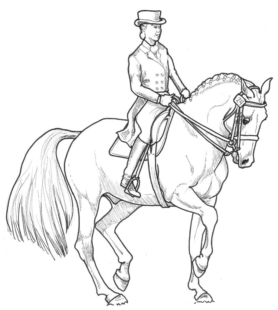 Horse Coloring Pages ⋆ coloring.rocks! | Horse coloring pages, Animal coloring  pages, Horse coloring