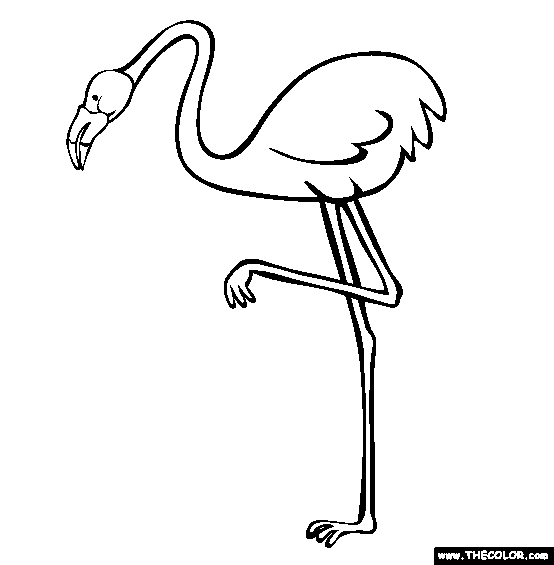 Flamingo Coloring Page | Free Flamingo Online Coloring