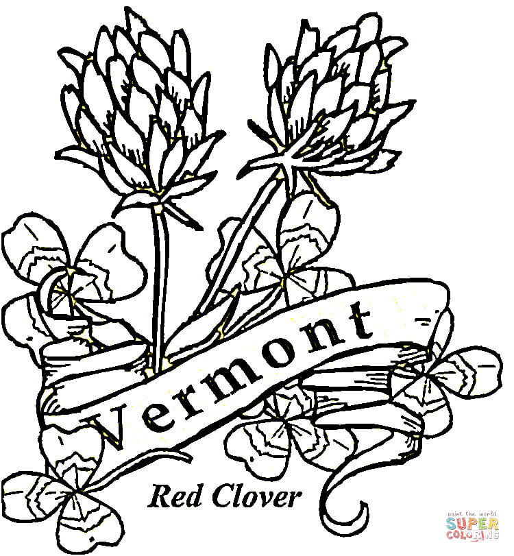 Vermont flowers coloring page | Free Printable Coloring Pages