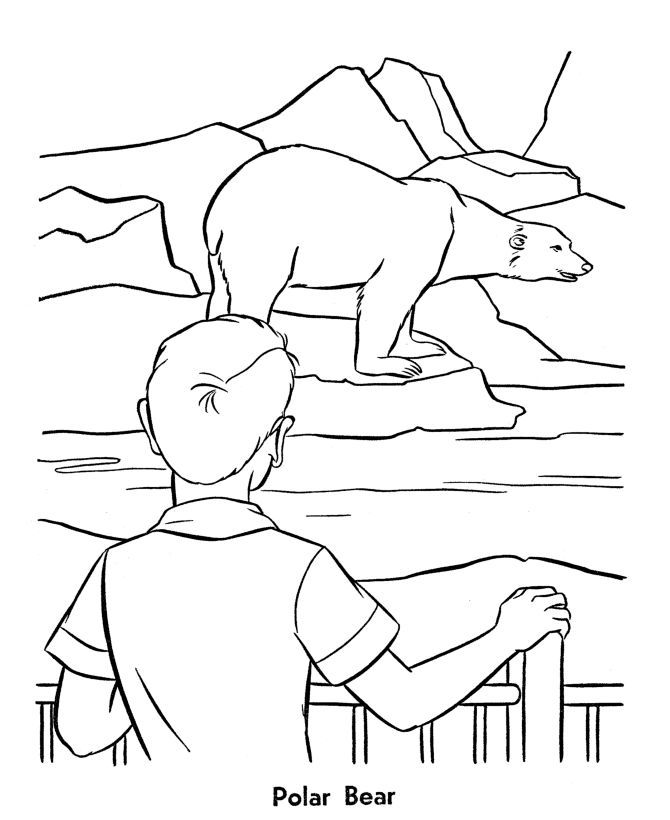 Zoo animals, Coloring pages and Animal coloring pages