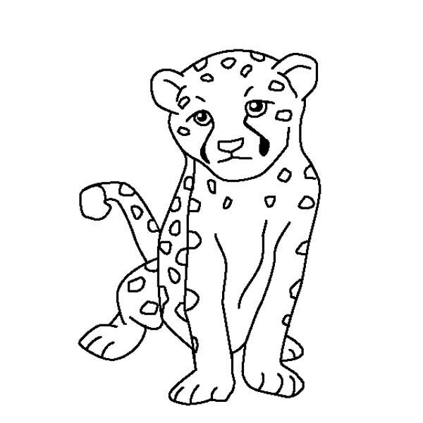 cheetah print coloring pages images about cheetah coloring pages ...