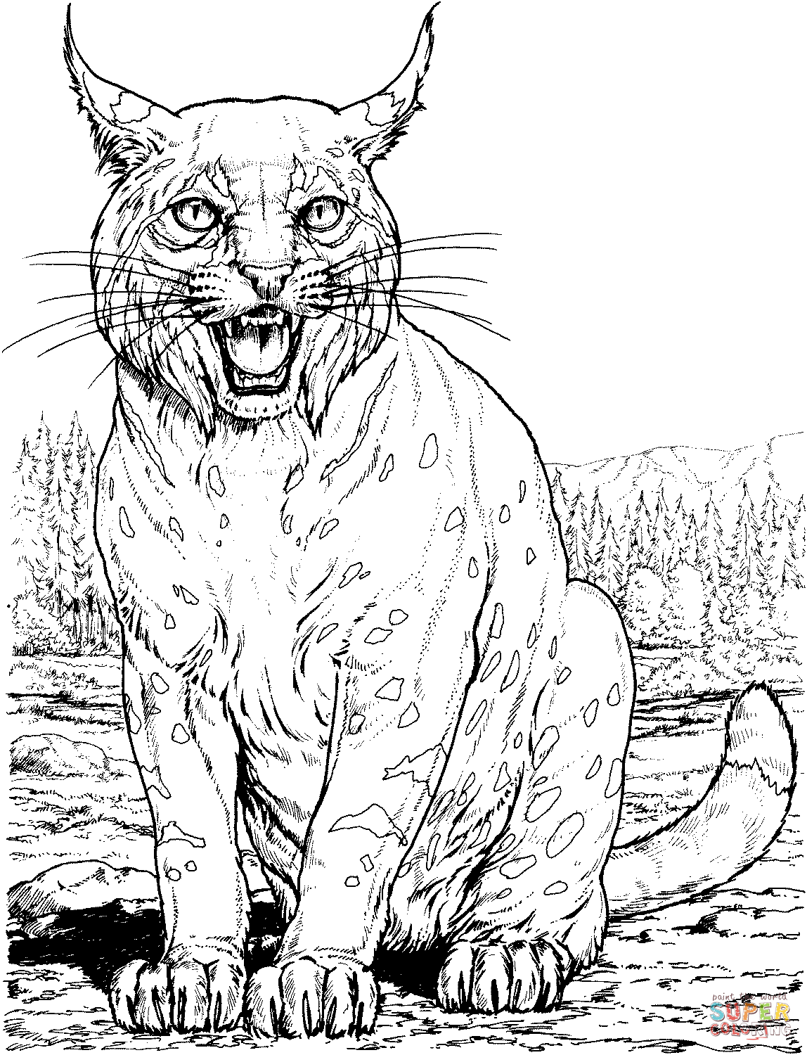 Lynx Cat coloring page | Free Printable ...
