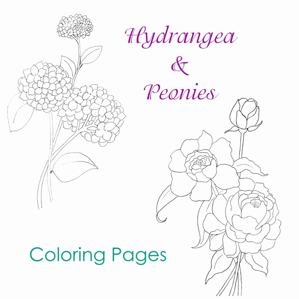 Hydrangea and Peonies Coloring Pages