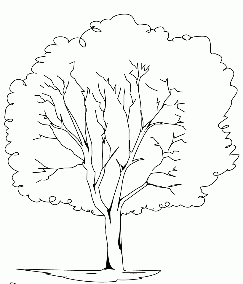 Coloring Trees - Coloring Pages for Kids and for Adults