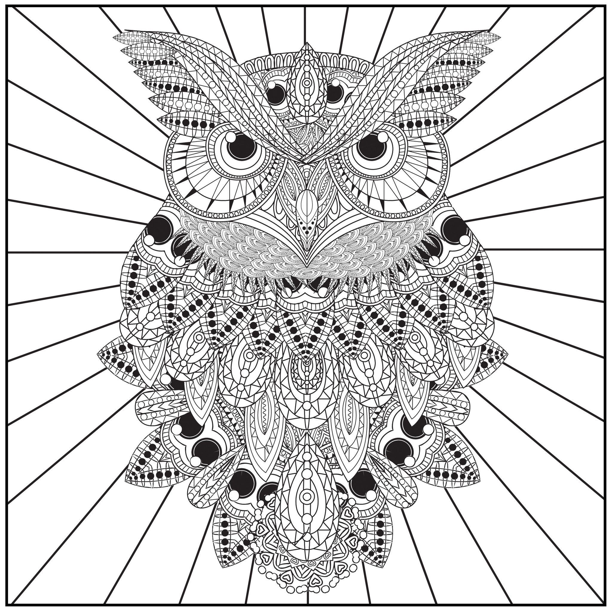 Adult Coloring Pages Owl | Forcoloringpages.com