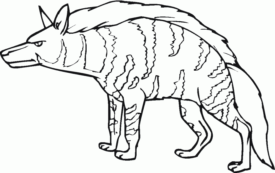 Tessa Guze Print Color Hyena Cub Sketch Artist Thingkid 269568 