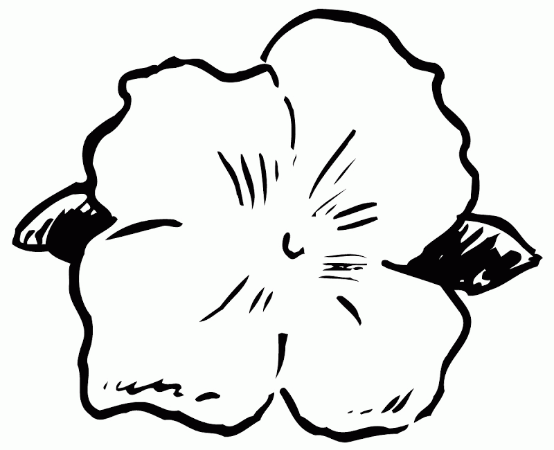 Free Preschool Flower Coloring Pages