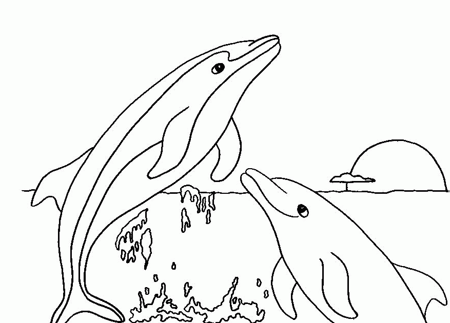 Dolphin Coloring Pages - Dolphin Facts and Information