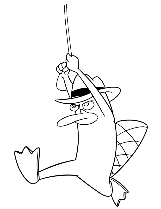 Agent P From Phineas And Ferb Coloring Page | HM Coloring Pages