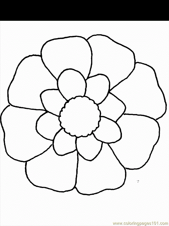 printable coloring page flower natural world