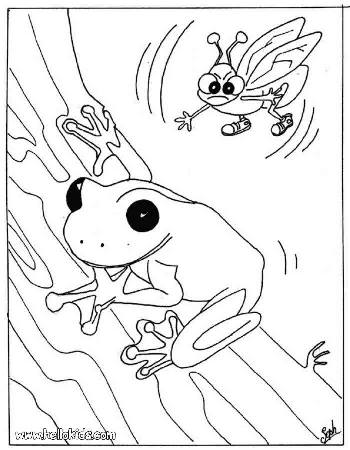 FROG coloring pages - Frog in love