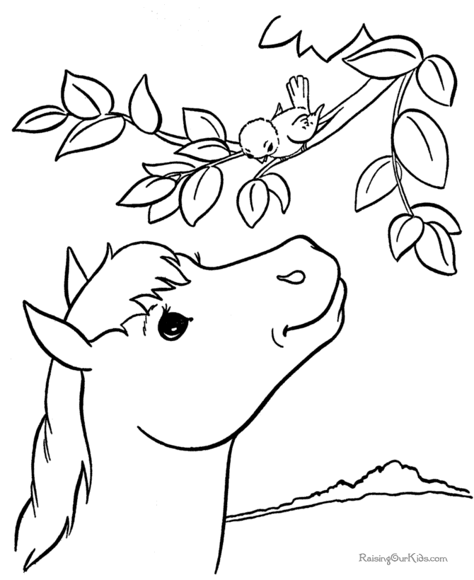 Horse coloring book pages