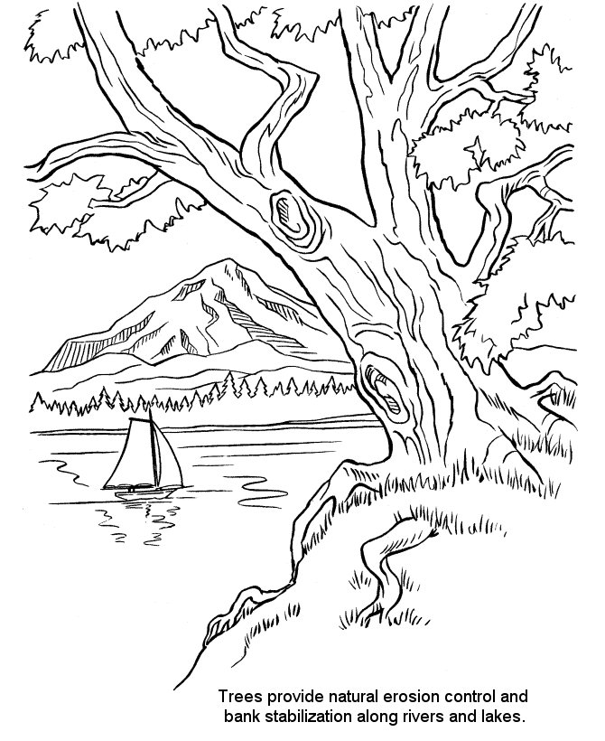 River bank Colouring Pages