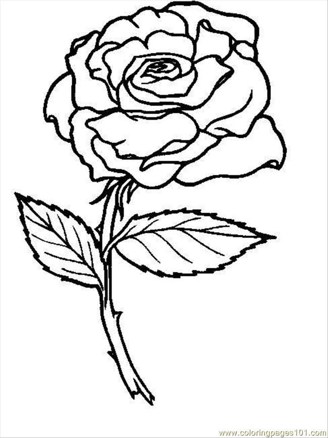 Coloring Pages Flower 10 (Natural World > Flowers) - free 