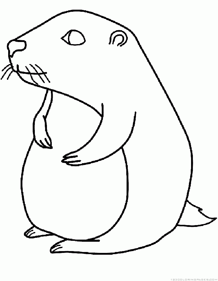 Groundhog/woodchuck Coloring Pages