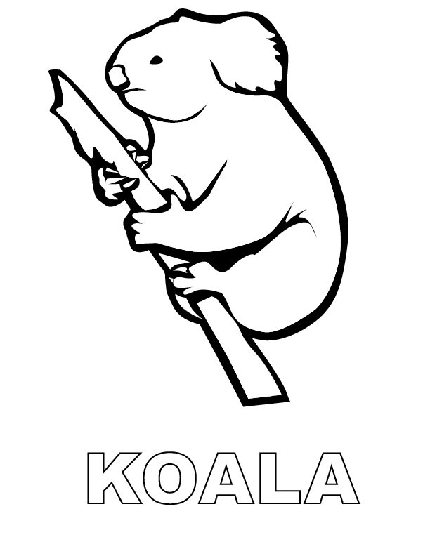 koala printable coloring in pages for kids - number 1808 online