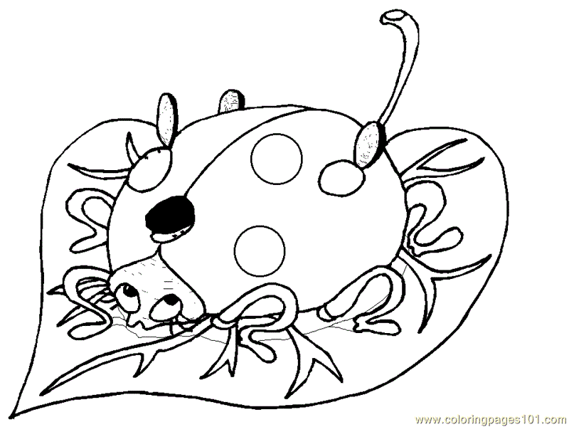 Lady Bug Coloring Page - Free Coloring Pages For KidsFree Coloring 