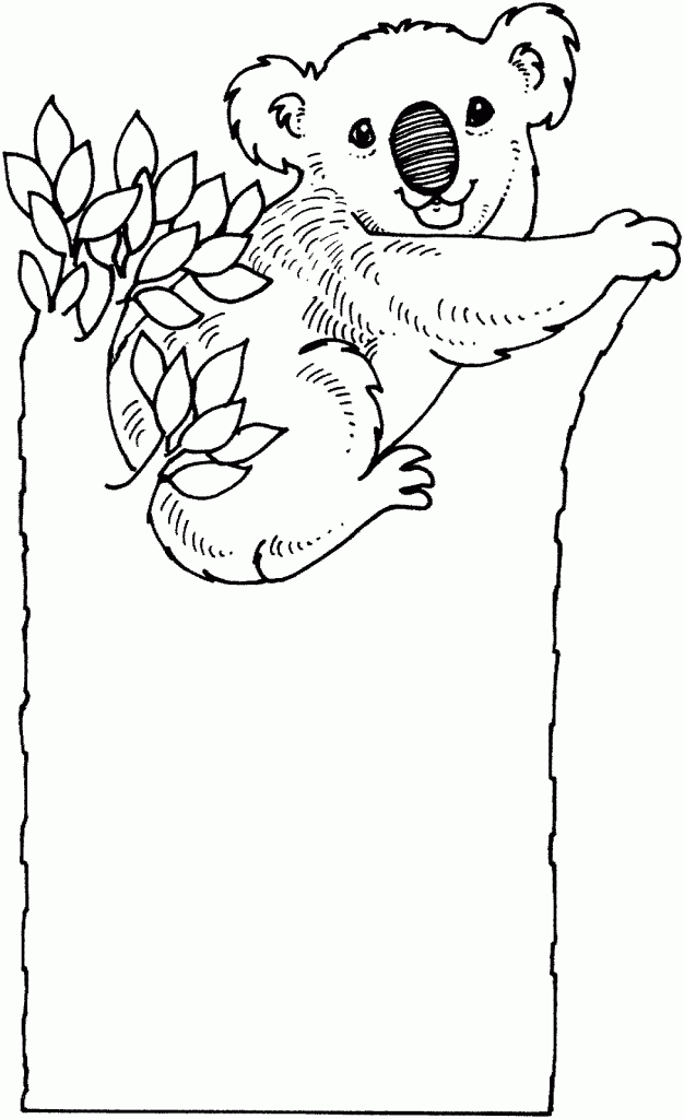 Koala Bear in a Tree Coloring pages | Coloring Pages
